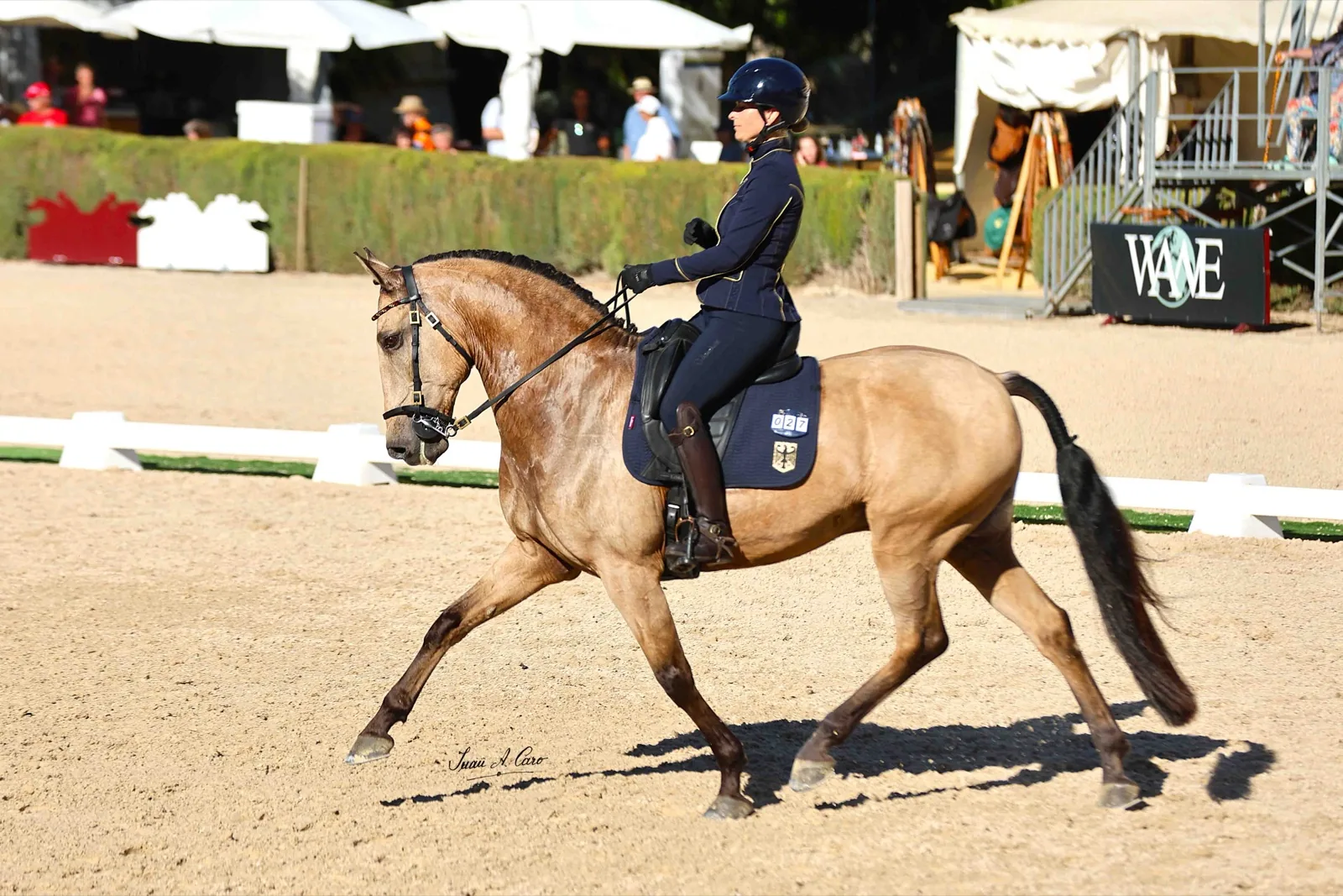 Diana Wader con Encantador Caniceir — tercera posición provisional para Alemania en el VII Mundial de Equitación de Trabajo (Jerez 2026)